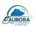 Aurora Kitchen Hood Cleaning