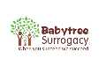 Babytree Surrogacy