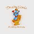 Drain Genie Plumbing & Drains