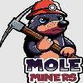 Mole Miners of Louisville