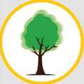 Nottingham Tree Surgeons