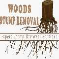 Woods Stump Removal