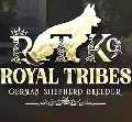 Royal Tribes K9