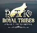 Royal Tribes K9