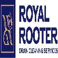 Royal Rooter