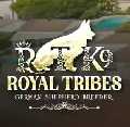 Royal Tribes K9