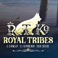 Royal Tribes K9
