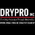 DRYPRO, Inc