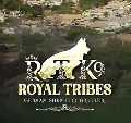 Royal Tribes K9