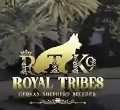 Royal Tribes K9