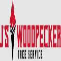 JS Woodpecker Tree Service