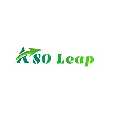 ASOLeap Company Limited