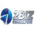 2biz Consulting