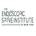 The Endoscopic Spine Institute of New York