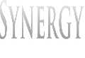Synergy Limousine