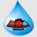The Cleaning Source