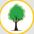 Nottingham Tree Surgeons