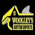 Woolley's Gutter Experts San Diego