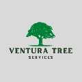 Ventura Tree Services