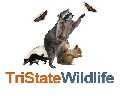 Tristate Wildlife