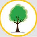 Nottingham Tree Surgeons