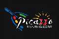 Picazzo Painting Corp