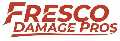 Fresco Damage Pros