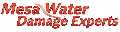 Mesa Water Damage Experts