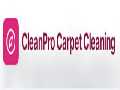 CleanPro Carpet Cleaning
