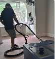 EcoLine Carpet Cleaning