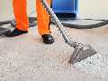 Quick Carpet Cleaning