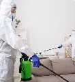 Eco Carpet Cleaning