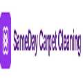 SameDay Carpet Cleaning