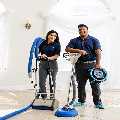 GreenCare Carpet Cleaning