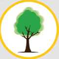 Nottingham Tree Surgeons