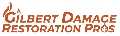 Gilbert Damage Restoration Pros