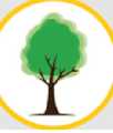 Nottingham Tree Surgeons