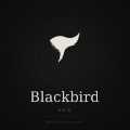 Blackbird SEO