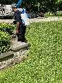 PESTBYE PEST CONTROL | Pest Control service in Scarborough