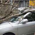 Mountain Air Insurance Services
