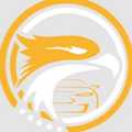 Skyhawk Limo