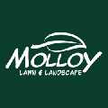 Molloy Lawn & Landscape