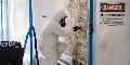 Gainesville Mold Remediation