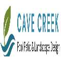 Cave Creek Pool Patio & Landscape Design.
