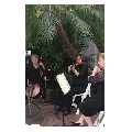 flute and violin duo for events columbus oh