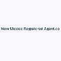 New Mexico Registered Agent.co