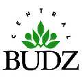 Central Budz Dispensary Yonkers