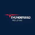 Thunderbird Molding - Greensboro