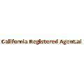 California Registered Agent.ai