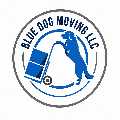 Blue Dog Moving